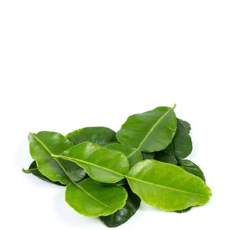 Lemon Leaves