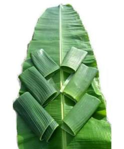 Frozen Banana Leaves