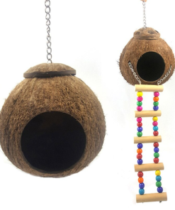 Alternative view of COCONUT SHELL BIRD NEST