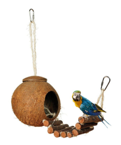 COCONUT SHELL BIRD NEST
