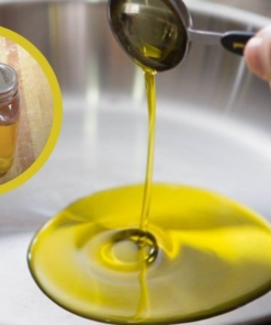Alternative view of SACHA INCHI OIL