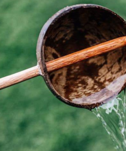 COCONUT WATER SCOOP