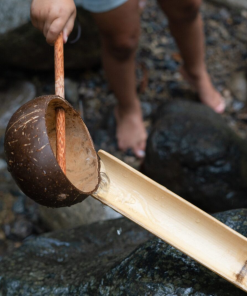 Alternative view of COCONUT WATER SCOOP