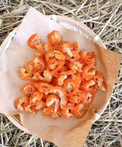 DRIED SHRIMP