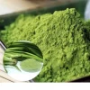 pandan leaves