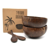 COCONUT BOWL AND COCONUT SPOON