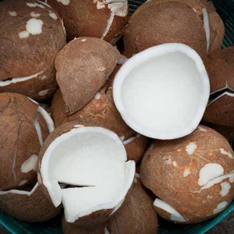 DRIED COCONUT FROM VIETNAM