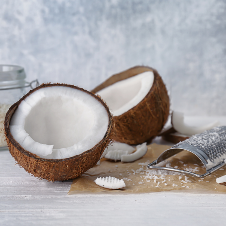 DRIED COCONUT FROM VIETNAM