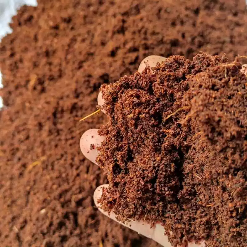 Cocopeat Block - Image 3