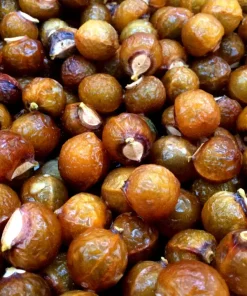 soap nut