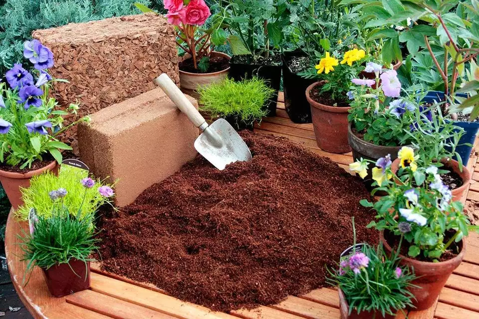 Cocopeat Block - Image 2