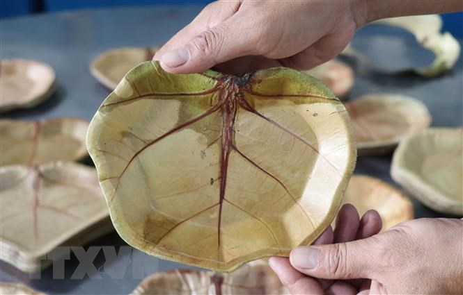eagle leaves Plates