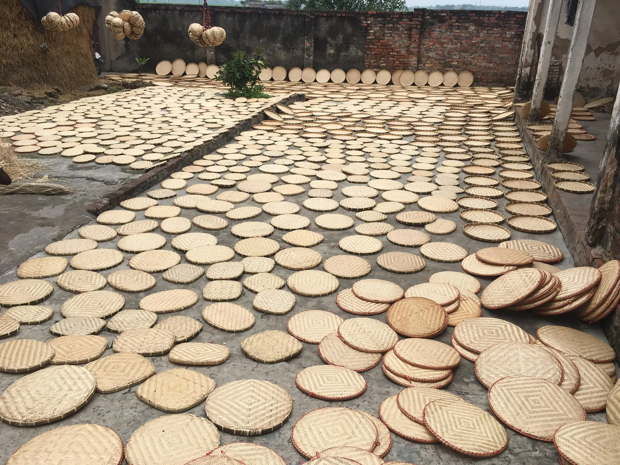 Bamboo Winnowing Basket Tray - Image 9