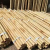 bamboo poles