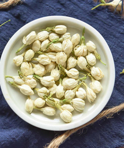 Alternative view of JASMINE BUBS TEA