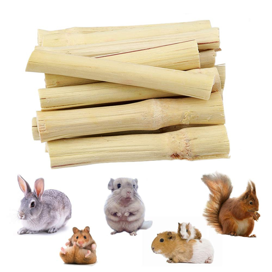 SUGARCANE STICKS - Image 3