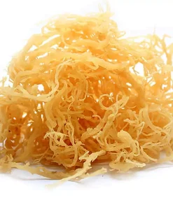 dried seamoss