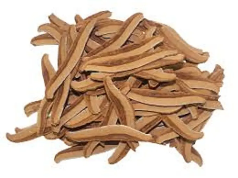 REISHI MUSHROOM - Image 3