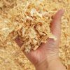 wood shaving