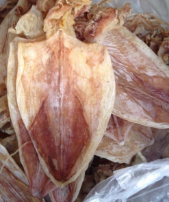 Alternative view of Dried Squids