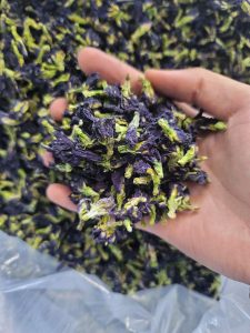 Butterfly Pea Flower