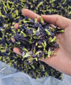 Butterfly Pea Flower