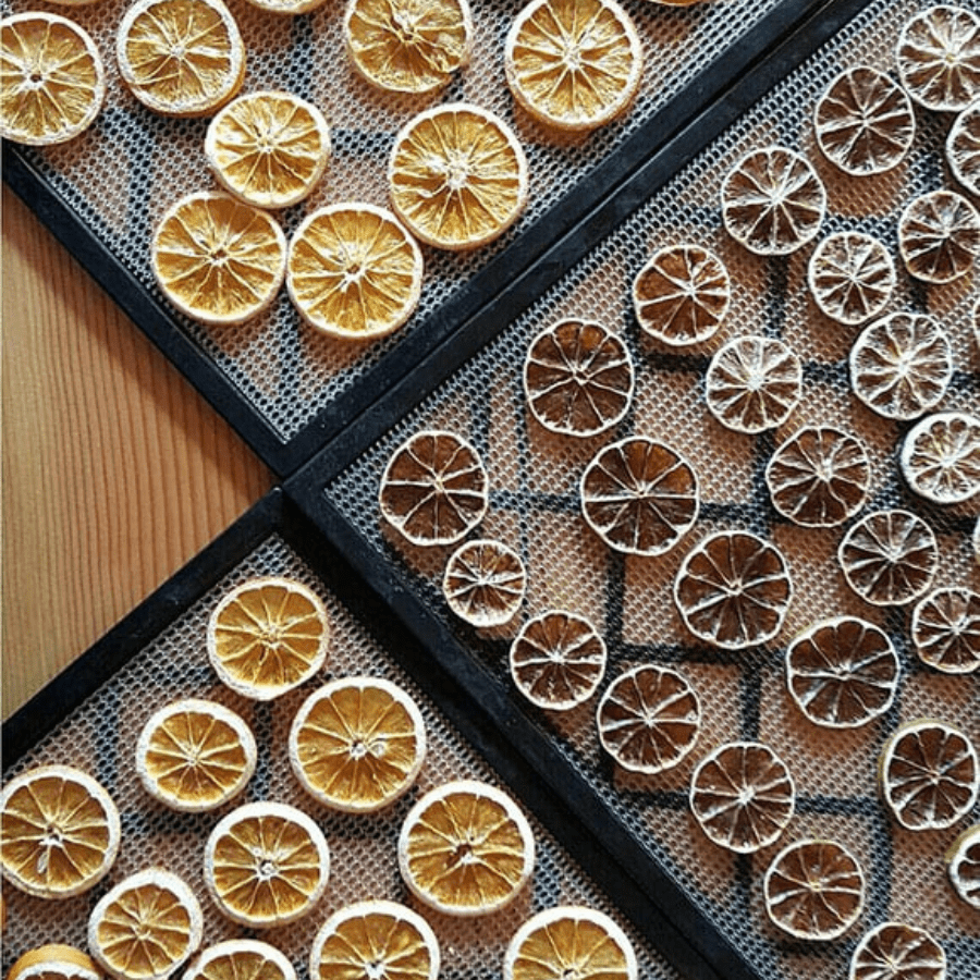 Dried Lemon/Orange Slice - Image 7