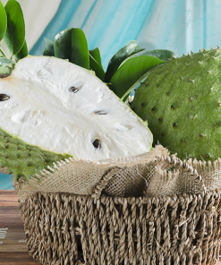 FROZEN SOURSOP-BEST QUALITY CHEAP PRICE