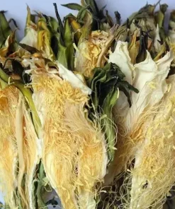 Alternative view of Dragon Fruit Flower