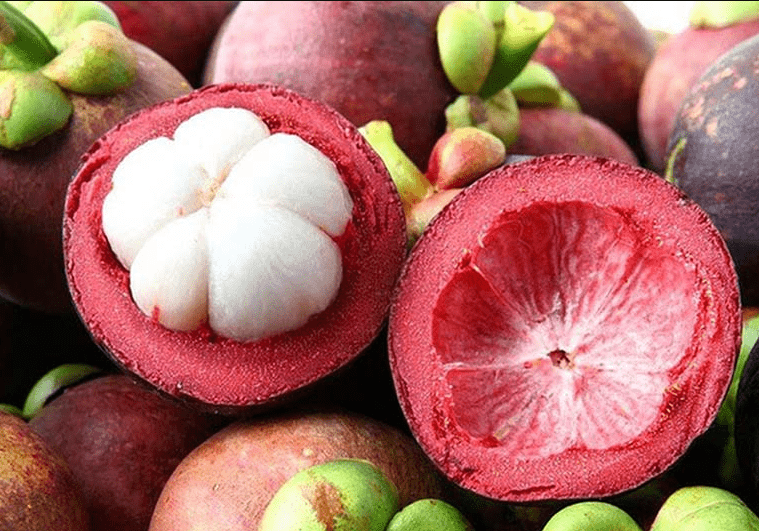 mangosteen peel
