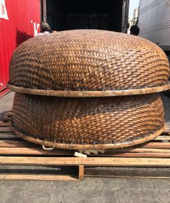 BAMBOO CORACLE