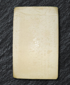 FROZEN SURIMI