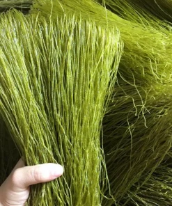 Alternative view of Moringa noodles vermicelli