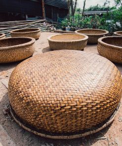 Alternative view of BAMBOO CORACLE