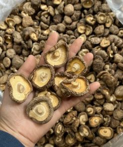 Alternative view of Dried Shiitake Mushroom