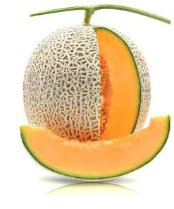 FRESH MELON