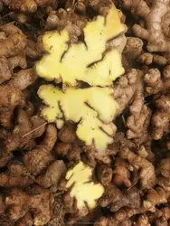 FRESH GINGER - Image 6