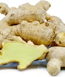 FRESH GINGER