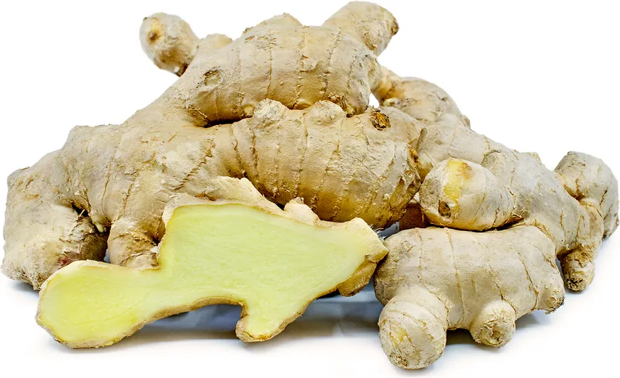 FRESH GINGER