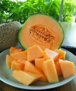 Alternative view of FRESH MELON