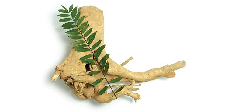 herbal