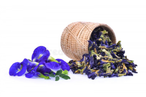 butterfly pea