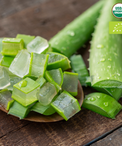 aloe vera