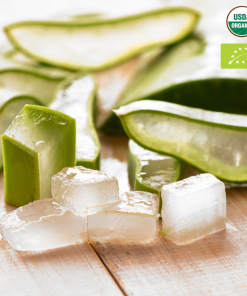 Alternative view of Fresh Aloe Vera