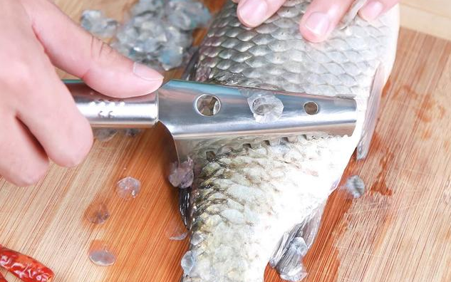fish scales