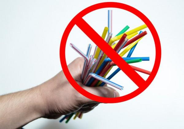 grass straws