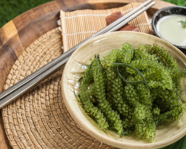 delicious dish with sea grapes
