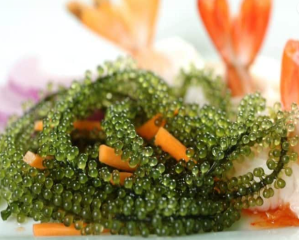 sea grapes with shrimp
