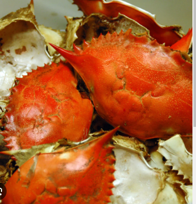 dried crab shell