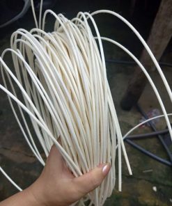 Alternative view of Rattan Core